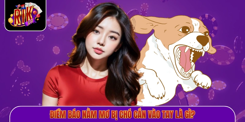 Điềm báo nằm mơ bị chó cắn vào tay là gì?
