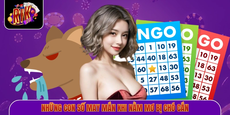 Những con số may mắn khi nằm mơ bị chó cắn